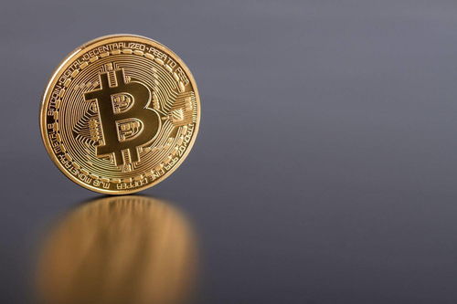 A sleek eco rig optimized for Bitcoin mining, showcasing energy-efficient components amid surging 2025 searches